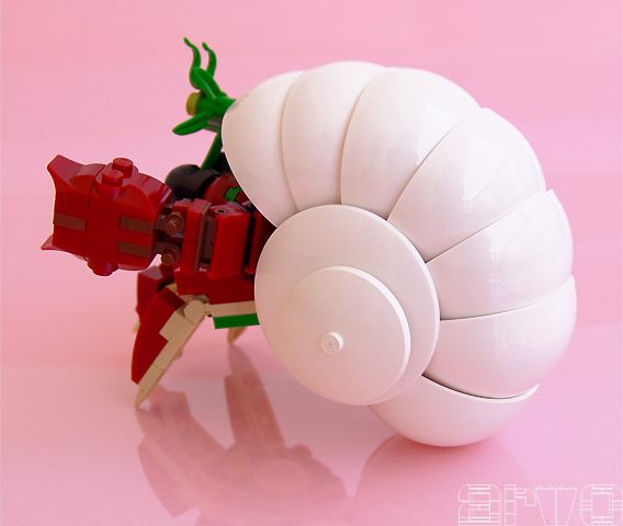 hermit_crab_02.jpg