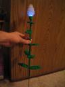 light-up_rose.jpg