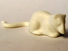 x215-white.jpg