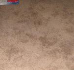small-cropped.gif