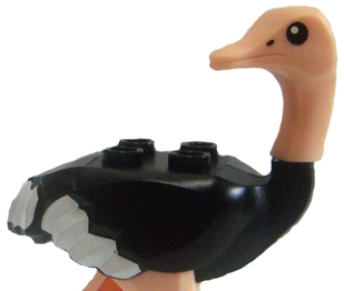 ostrich.png