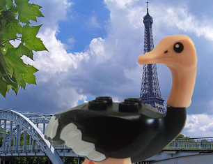 ostrichparis.png