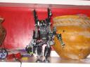 picture_5392.jpg