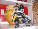 picture_5393.jpg
