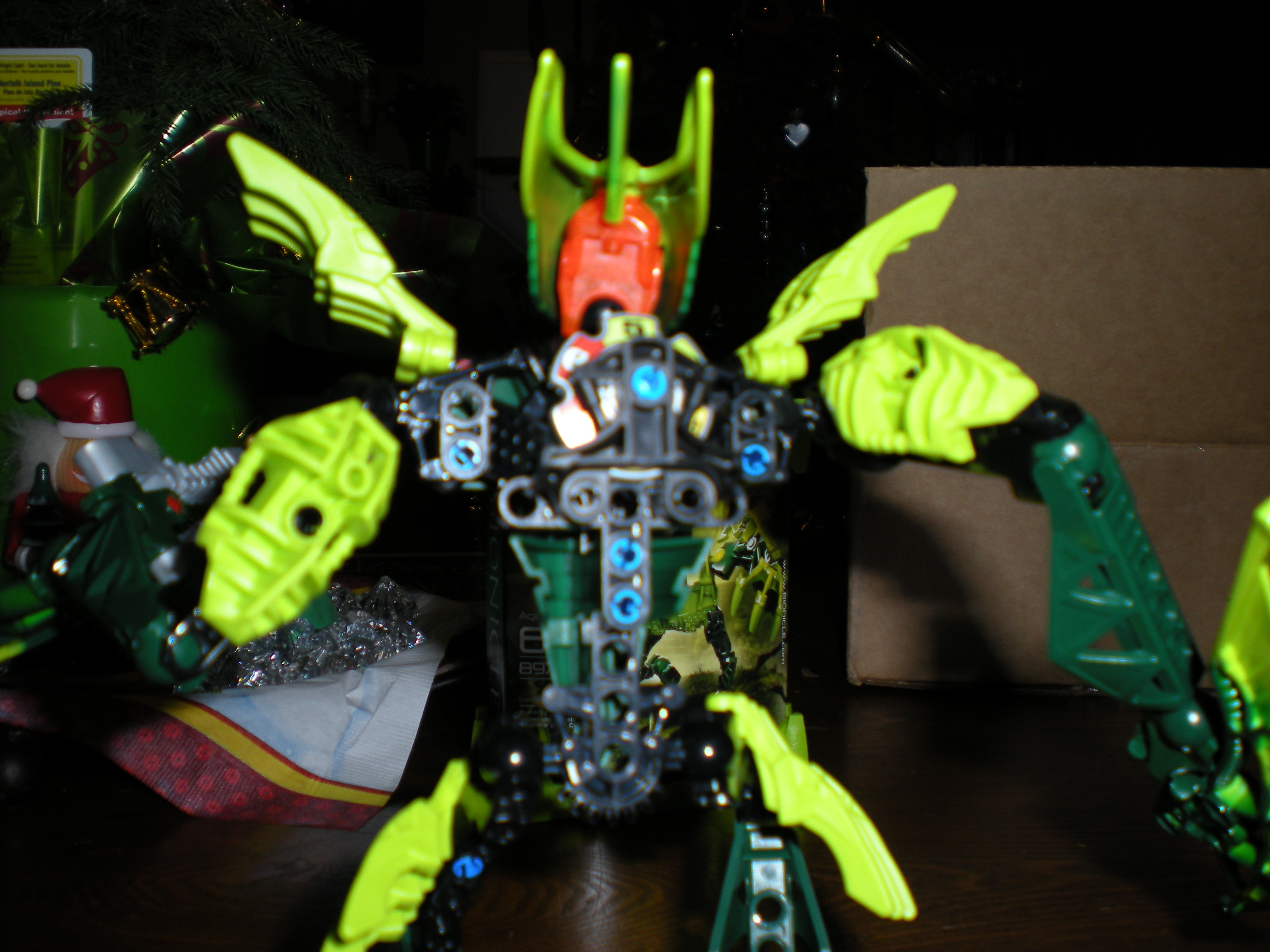 dscn0487.jpg