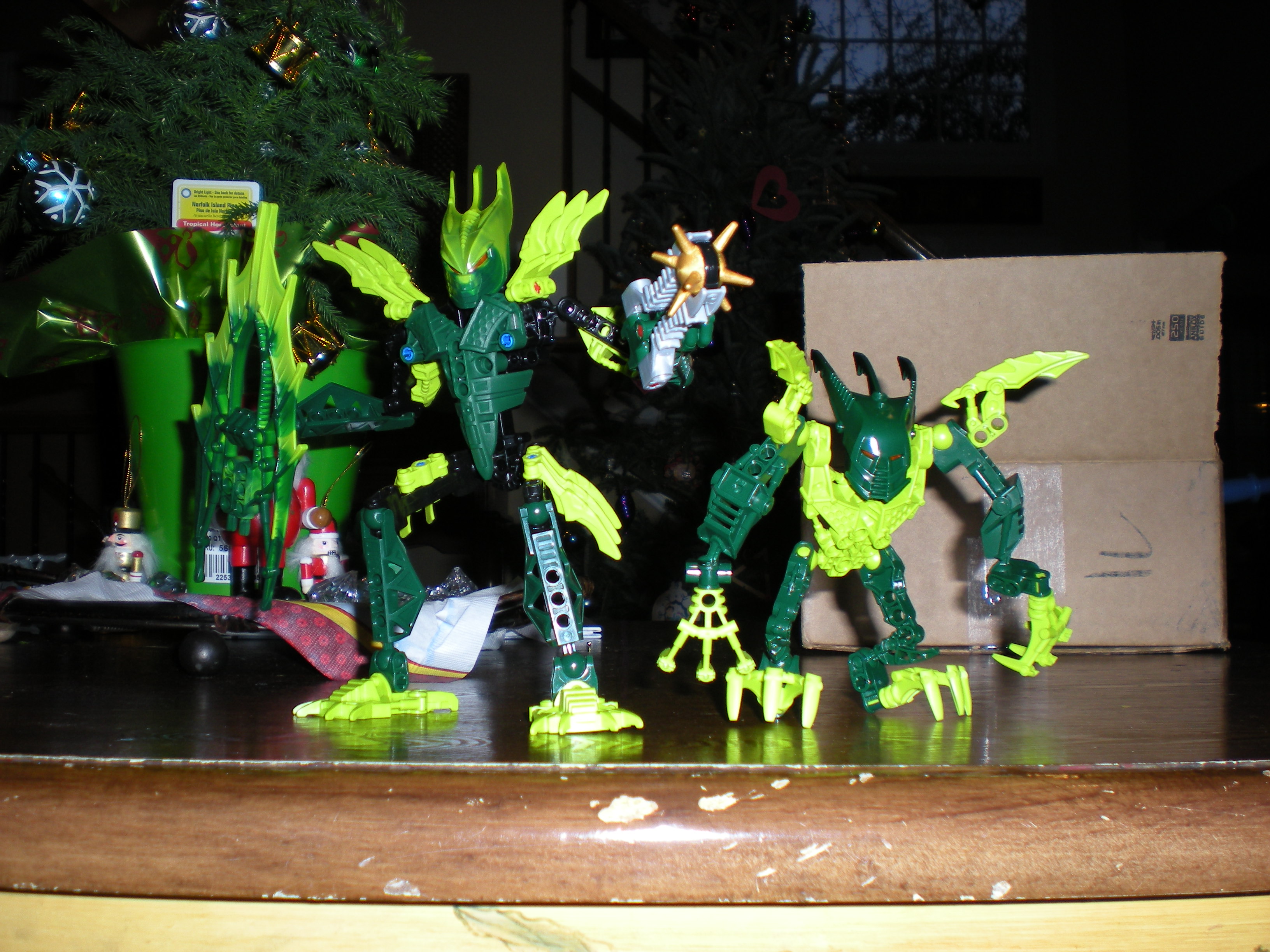 dscn0490.jpg