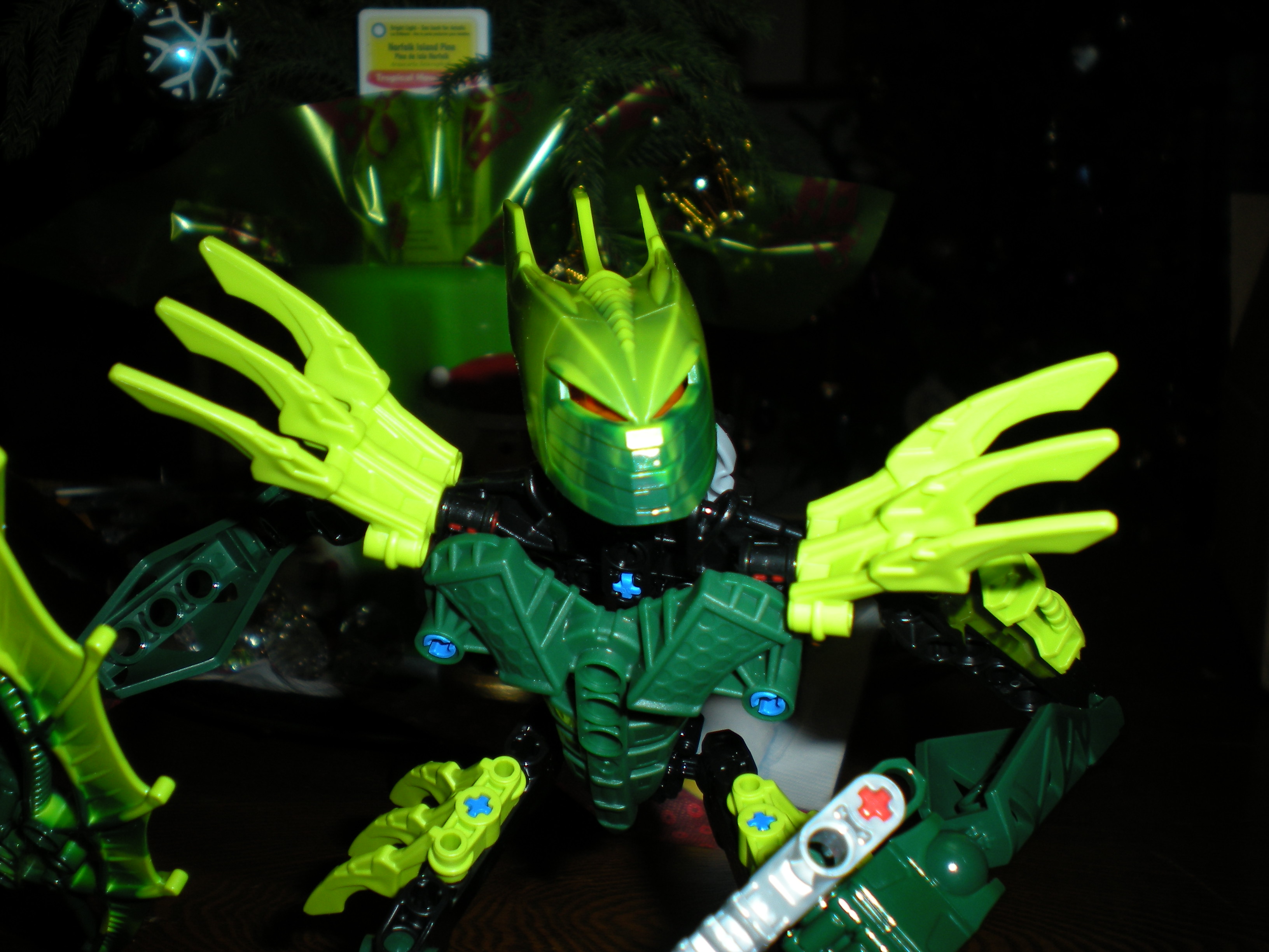 dscn0492.jpg