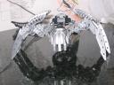 picture_3742.jpg