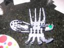 picture_3744.jpg