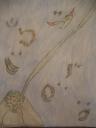 picture_5618.jpg