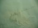 picture_5993.jpg