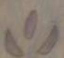 thumbnail.jpg