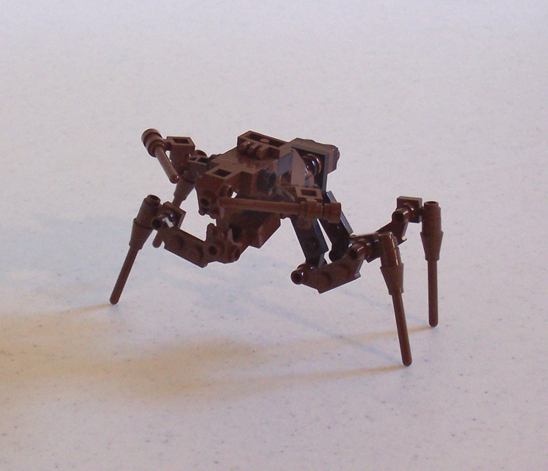 arachnid001.jpg