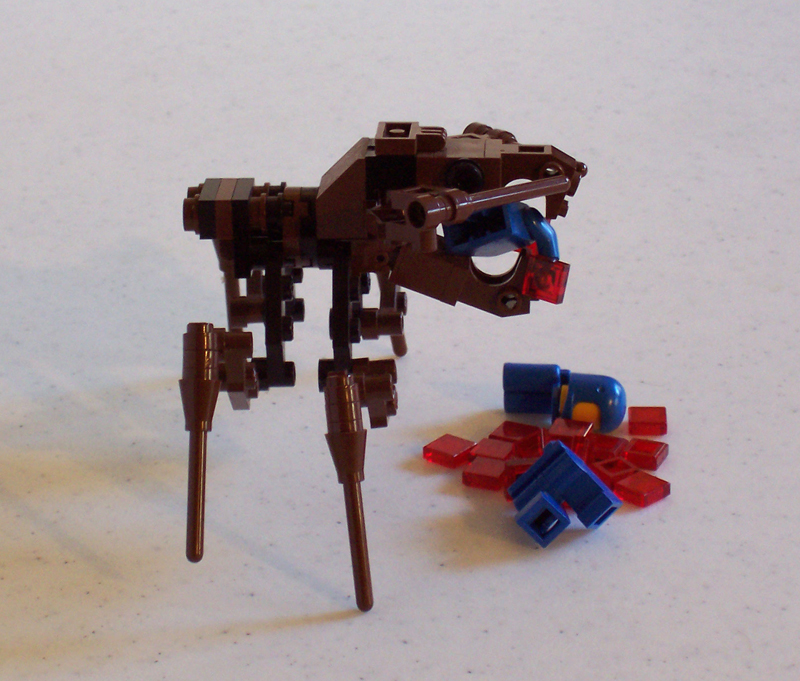 arachnid006.jpg