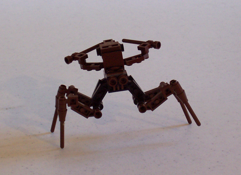 arachnid008.jpg