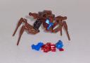 arachnid004.jpg