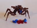 arachnid005.jpg