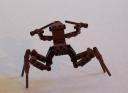 arachnid007.jpg