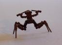 arachnid008.jpg