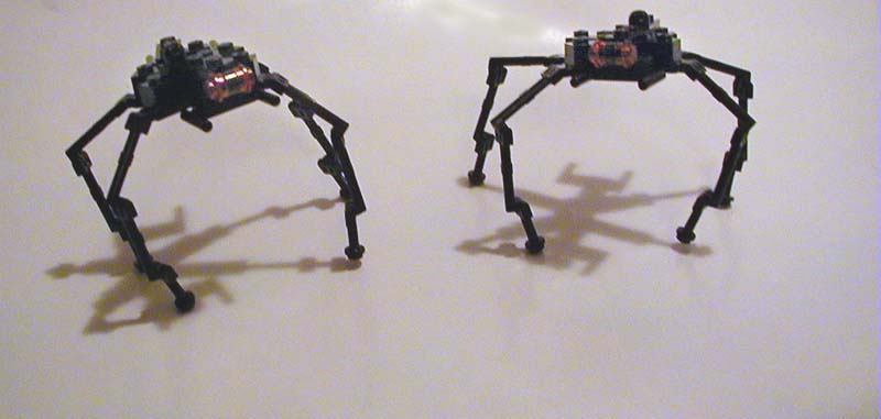 spiderwalkers.jpg