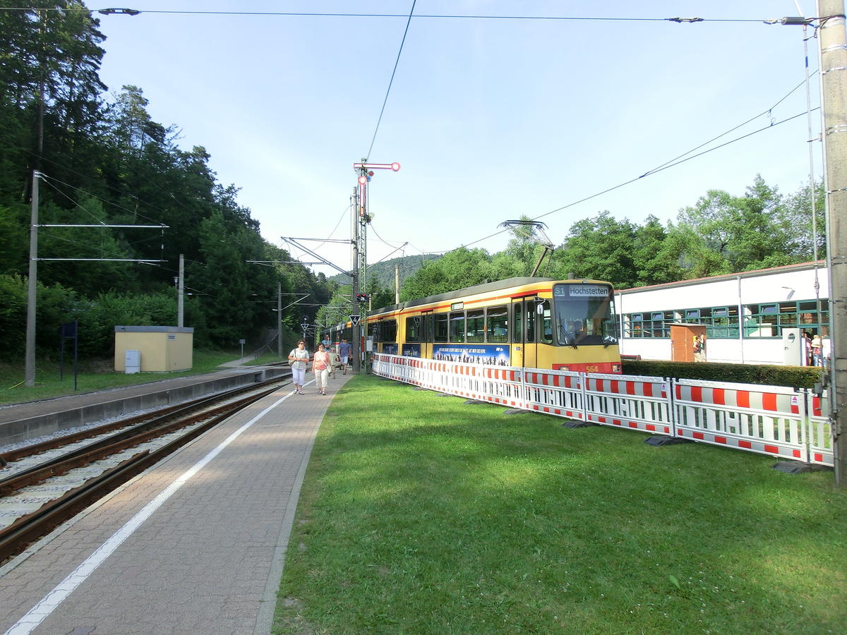20130714-173954__cimg6124_1_2.jpg