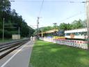 20130714-173954__cimg6124_1_2.jpg