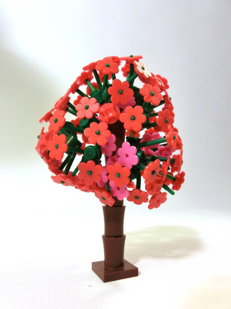 20120420-194151__cimg2392.jpg