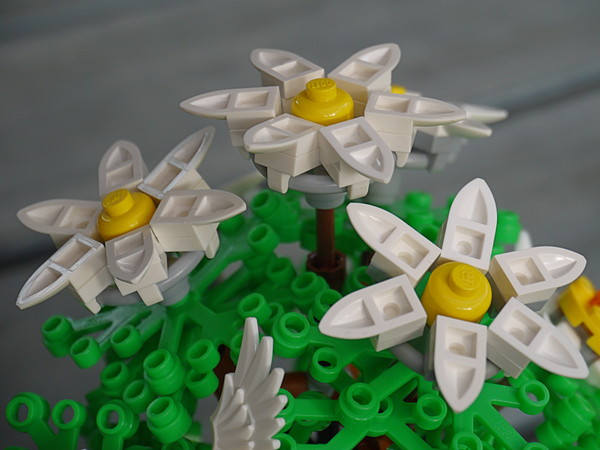 blumen_4.jpg