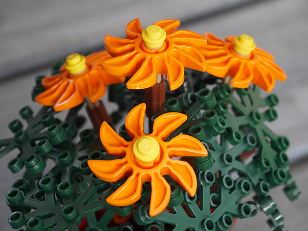 blumen_6.jpg