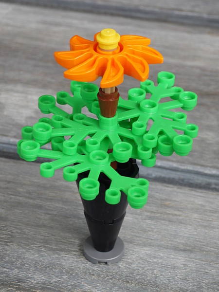 blumen_7.jpg
