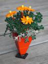 blumen_5.jpg