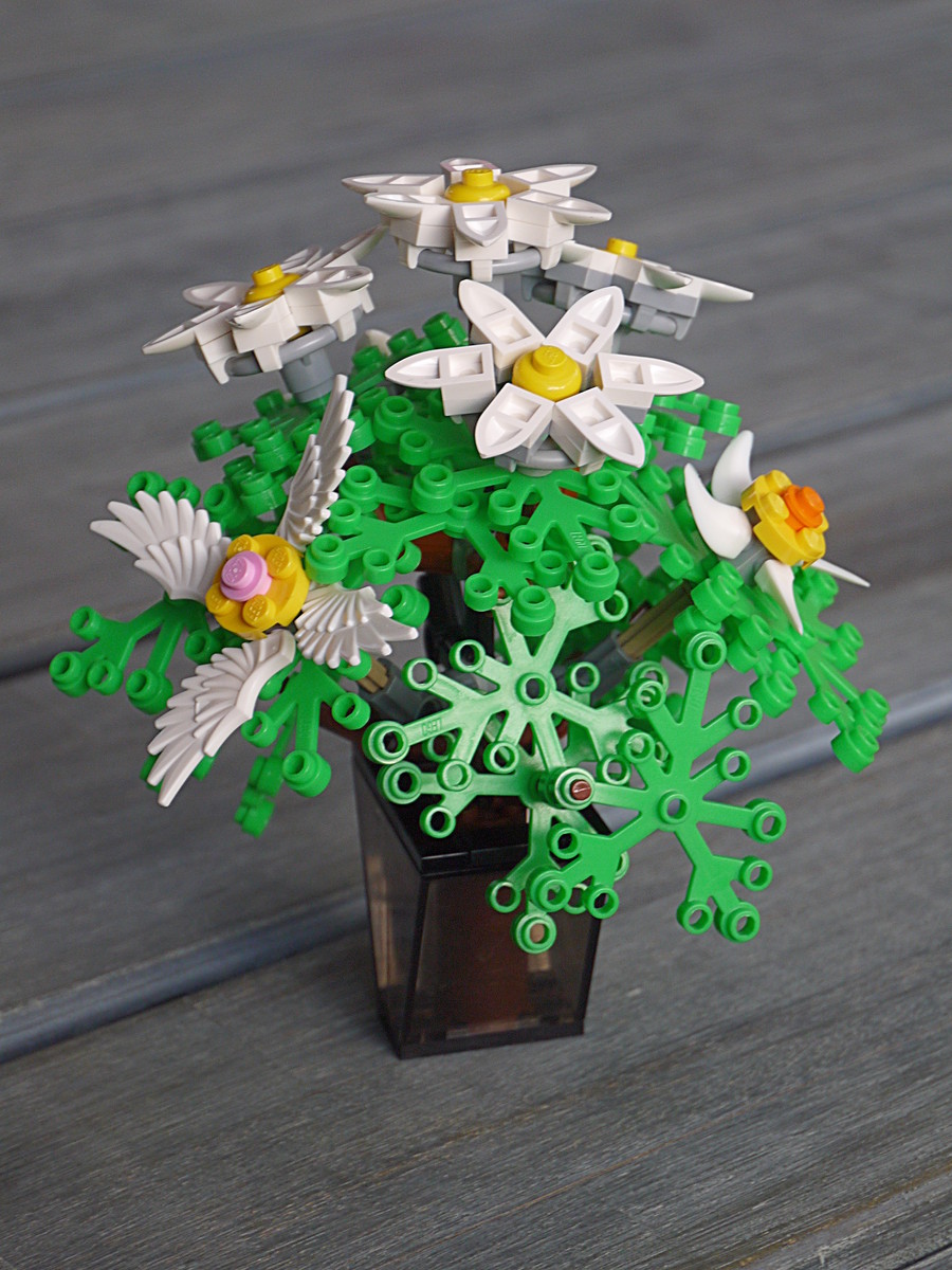 blumen_3.jpg