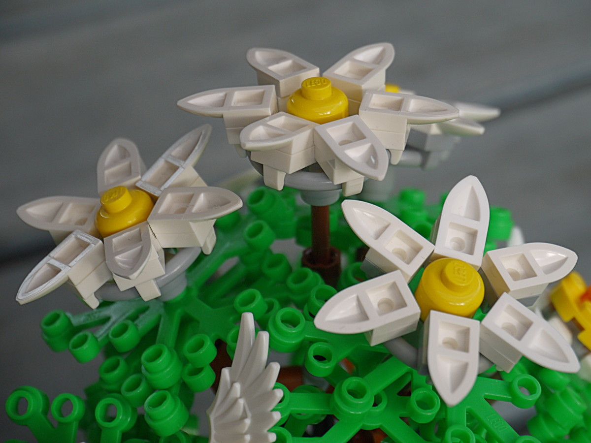 blumen_4.jpg