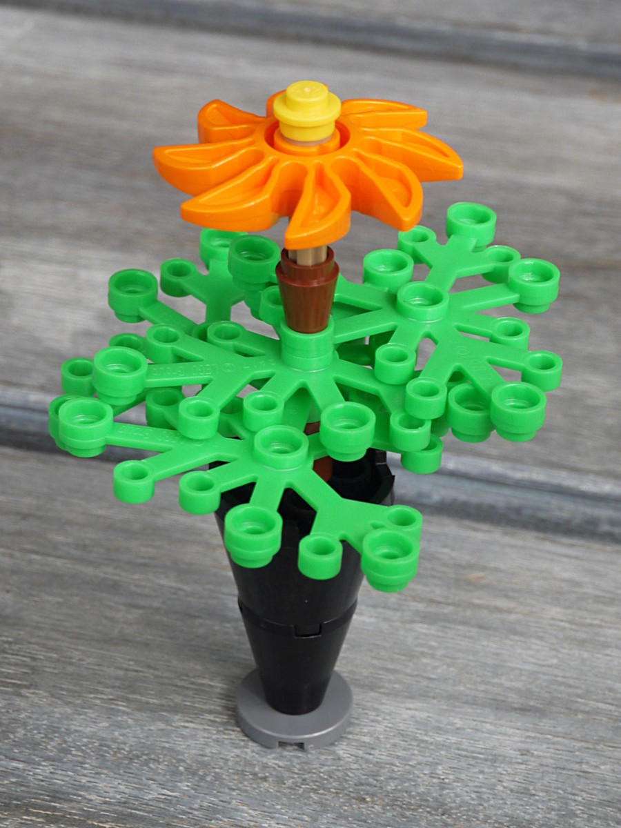 blumen_7.jpg