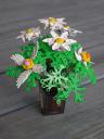 blumen_3.jpg