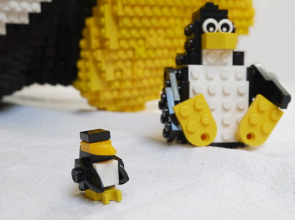 tux_11.jpg