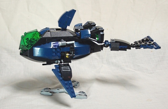 orca002.jpg