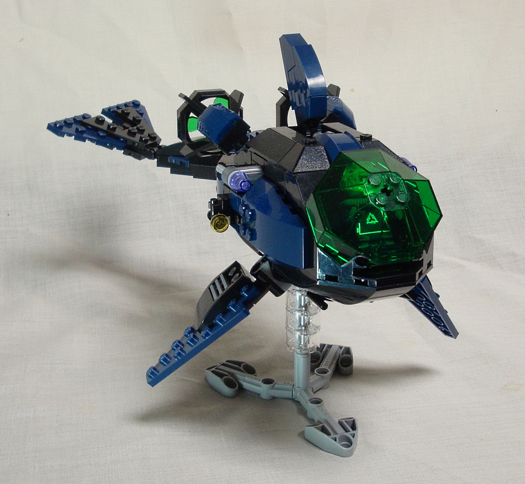 orca003.jpg
