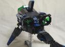 orca006.jpg