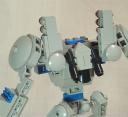 silverback008.jpg