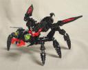 Wasp
