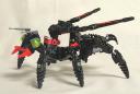 wasp002.jpg