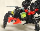 wasp009.jpg