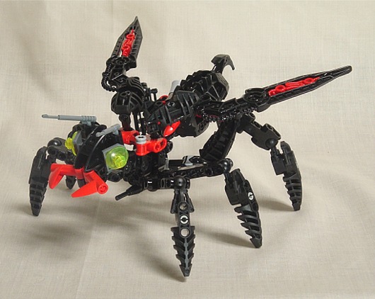 wasp001.jpg