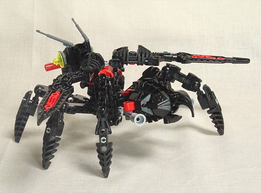 wasp003.jpg