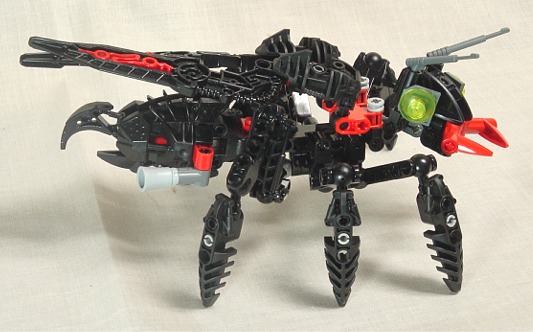 wasp005.jpg