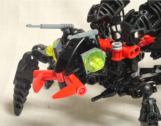 wasp009.jpg