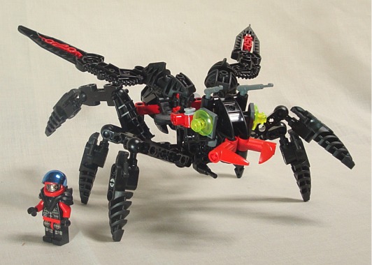 wasp010.jpg