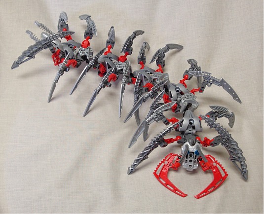 centipede002.jpg