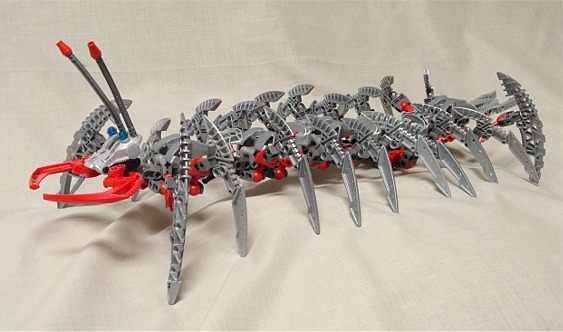 centipede004.jpg
